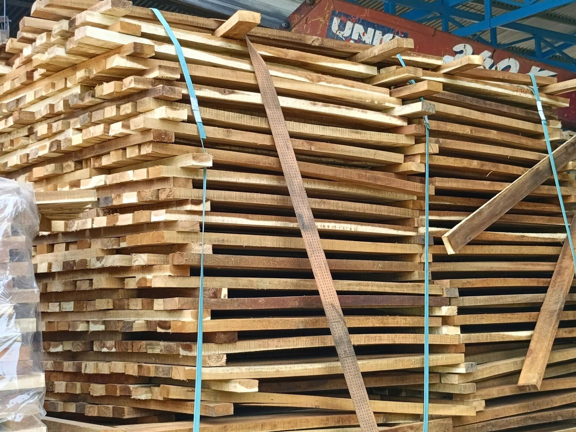 để làm được pallet chuẩn cần lựa chọn đúng nguồn gỗ tràm tốt